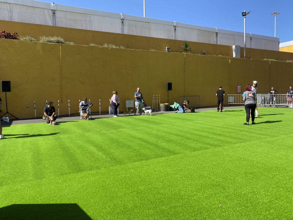 infecar's tweet image. Comienza el taller de educación canina libre de castigos en #Animundo 🐶🐱de la mano de Sarai González de @AtapCanarias

#AnimalDeCompañía #Animales #Feria #RecintoFerial #GranCanaria #Animundo2022 #Taller #EducaciónCanina