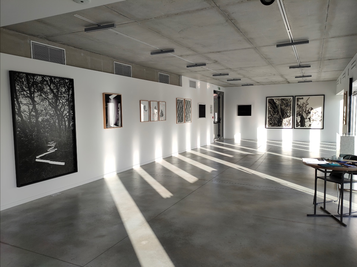 RioFluency's tweet photo. La galerie est ouverte ce week-end ! Exposition "Les étoiles s'éteignent à l'aube", œuvres de Rune Guneriussen, Philippe Chancel, Justin Weiler, Irma Kalt, Jean-Claude Pondevie, Angélique Lecaille. 14h30 > 18h30 samedi 26 et dimanche 27 novembre.  - https://t.co/pyYnDer5HD https://t.co/aVVDl42ec9