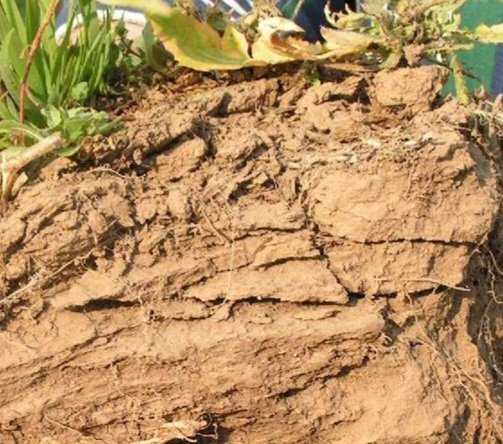 DESCOMPACTACIÓN

- Mecánica o
- Biológica

La mecánica es de corto plazo.
La biológica es constante, solo con cultivos de servicios.

PERO OJO!
Tienes compactación o pie de arado?

- Sabes cual es la SORTIVIDAD de tu suelo?
- y su capacidad de RESERVA HÍDRICA?

?????🧠🗣🗣