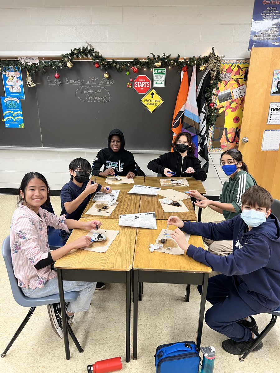 Gr. 7s <a href="/srgycdsb/">St. Rene Goupil CES</a> explore food webs and food chains by dissecting Owl Pellets! #handsonlearning #science <a href="/ycdsb/">York Catholic District School Board</a>