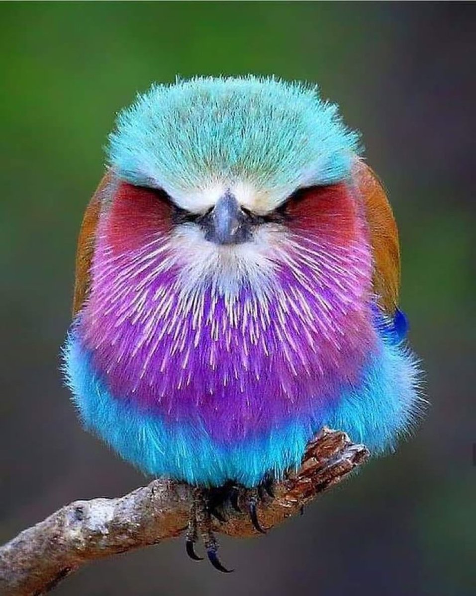 Cambiaalmundo's tweet photo. Hermoso https://t.co/v5EFiGcItY