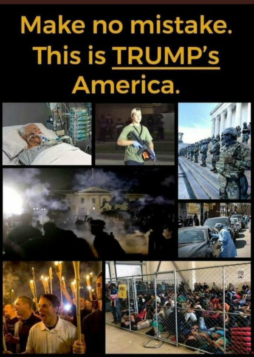 MaryWebb7's tweet photo. #PubsDeservePrisonNotPower #TrumpBelongsInPrison #OnlyTheirPartyCommittedTreason #HeGotByWithGenocide #JusticeIsOurOnlySolution https://t.co/DJ1KcvFCBM