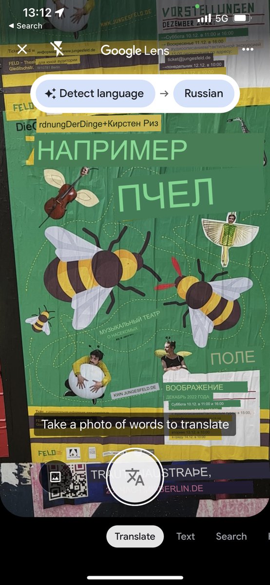 _borislobanov's tweet image. А почему не паук, например?