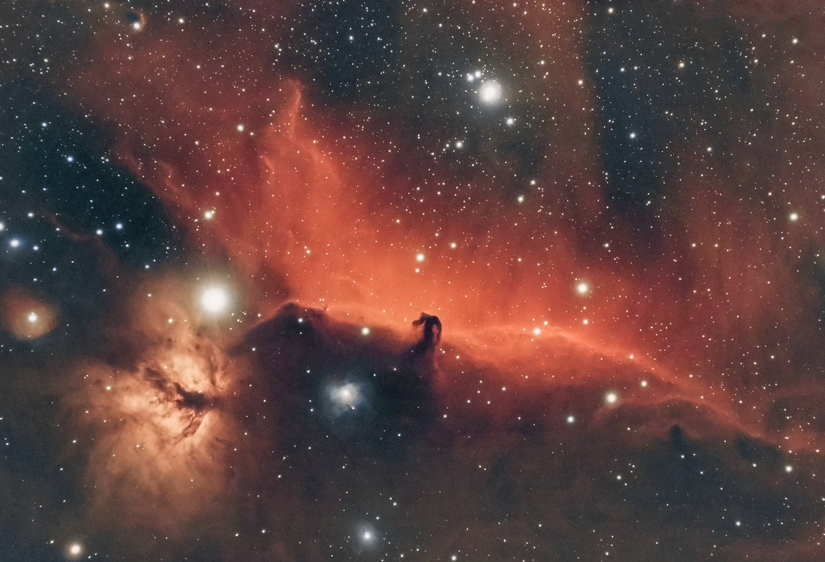 myboy_bubba's tweet photo. I reprocessed the horsehead nebula from last year using pixinsight. What a difference! The colors are more natural and everything is smoother. This is 12 hrs with an 80mm apo and asi294mc pro. #Astrophotography #astronomy #nebula https://t.co/qHPyb84ItE