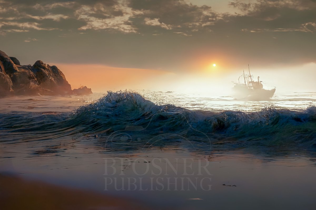 bposnerimages's tweet photo. Misty morning Passing along the Oregon Shore...
#luxeathome #oregonartist #pnwartist #pdxartist #portlandartist #oregonart #artistsiontwitter #pnwart #originalart #pnwinteriordesign #pnwdesign #oregoninteriordesign #oregondesign #oregoncoast #coastaloregon https://t.co/qkXS6dBCFU