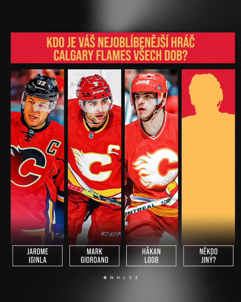 NHL Česko tweet media