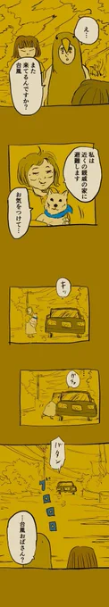 恐怖の台風被災記録③
続きは明日更新します。

#糸島STORY 