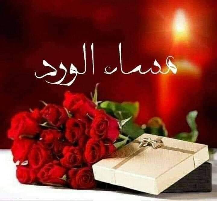 AgazzarAyman's tweet photo. @Habibaa51611 https://t.co/yHeN9c7C6n
