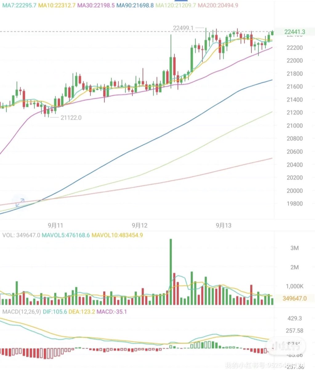 petro_pia's tweet photo. Today, the fluctuation node data is very good, and people who know it seize the opportunity. https://t.co/5OmEkK2EkU