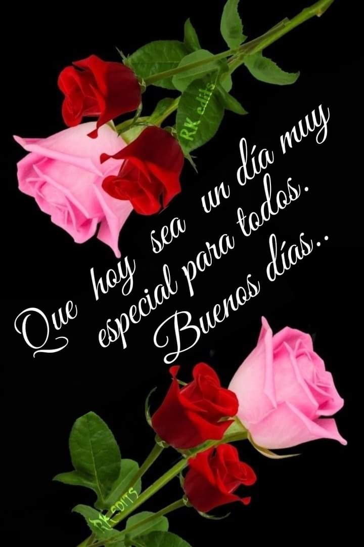 PRENSA sin fronteras por comando Pedro CAMEJO PRESENTAR PROGRAMAFeliz y bendecido SABADO..grupo..agradeciendo a Dios por este despertar a la vida..porque hoy sea un dia mas para disfrutar de. Alegrias y de luchas. Con salud..saludos y bendiciones para todos.