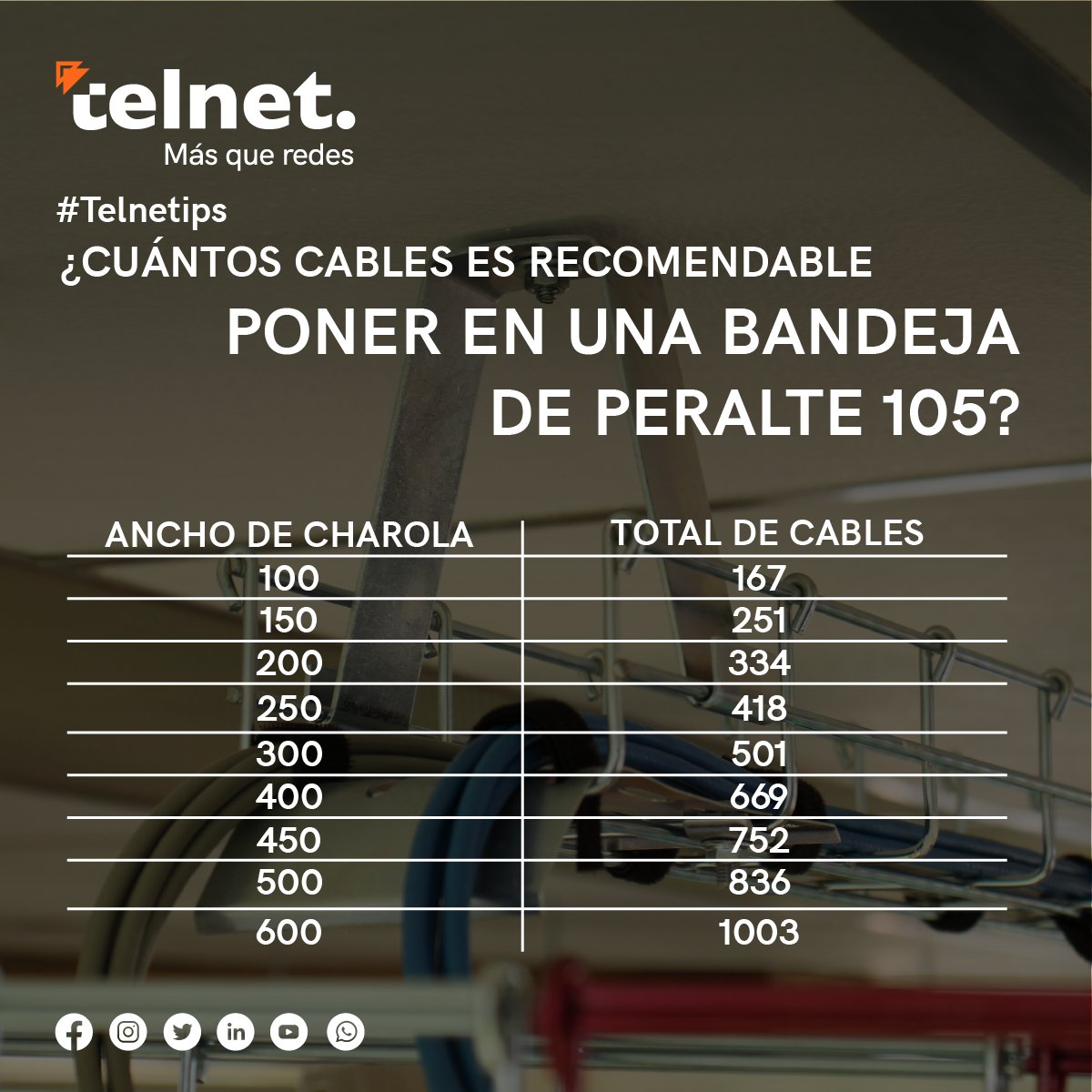 telnetron's tweet photo. ¿Cuantos cables son el 50% que dice la norma en una escalerilla de 4" de alto? 

#TelNetip #TelNet #TelNetron #másqueredes #Tecnología #Telecom #Redes #Soluciones #serviciotecnico #Conectores #Tools #Estandares #Profesional #cable #Calidad #Fibra #Redes #Tools #Bandeja #Charofil https://t.co/aK6NZk3h4s