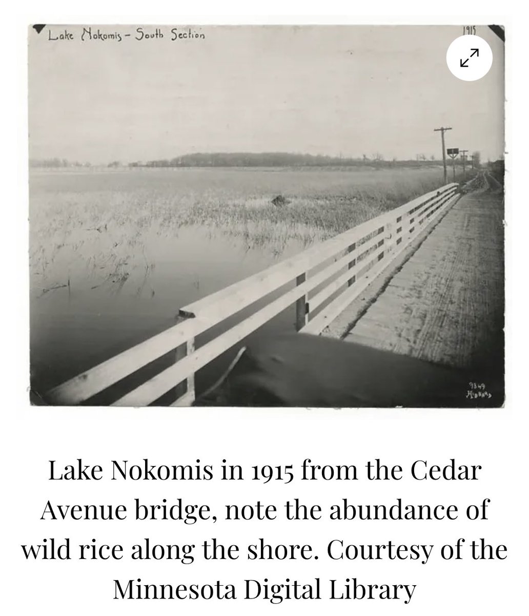 Great research in “The Changing Names and Landscapes of Lake Nokomis &amp; Hiawatha” by Josh Biber minnesotahistory.org/post/the-chang…