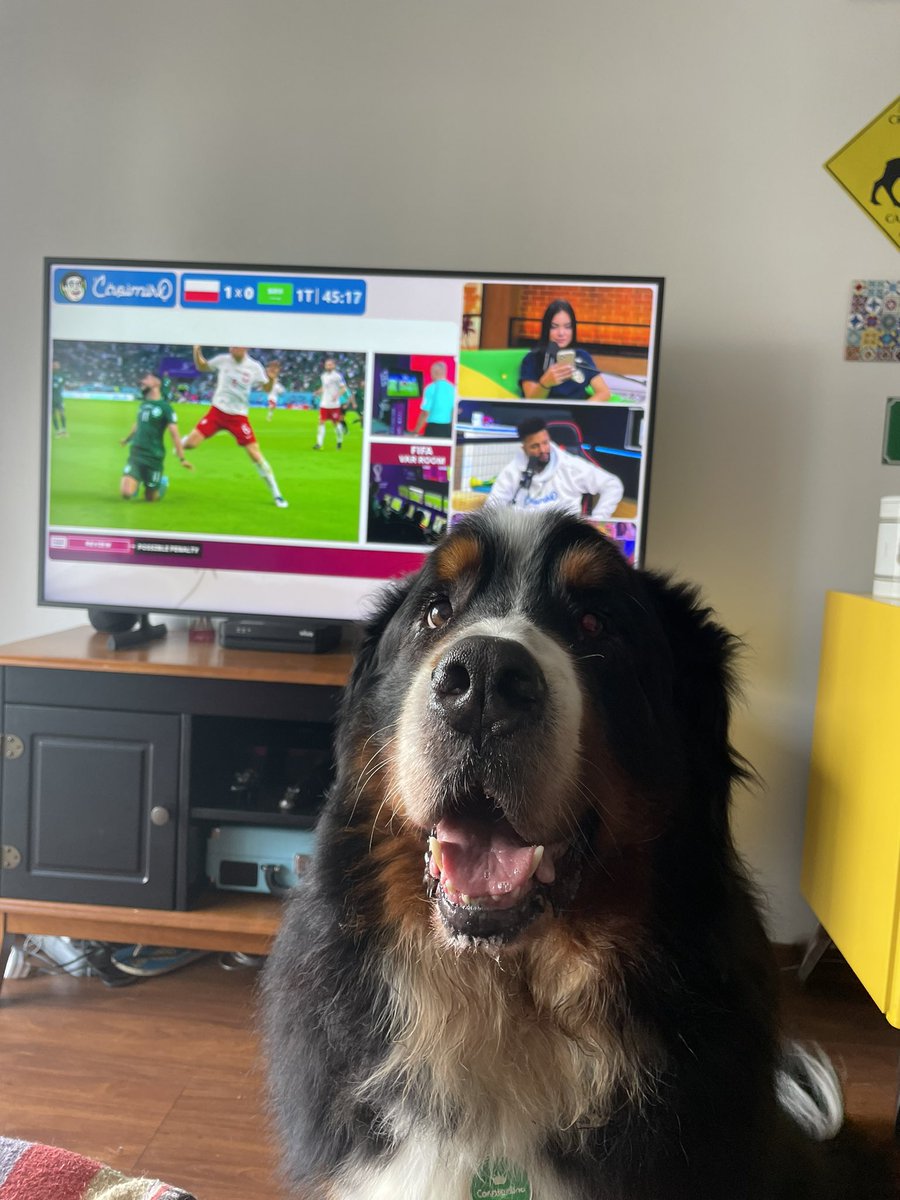 lahdamato's tweet photo. Tantão mandou avisar que não tem outro lugar possível pra ver a copa! #CopaNoCaze https://t.co/BonusQbfnx