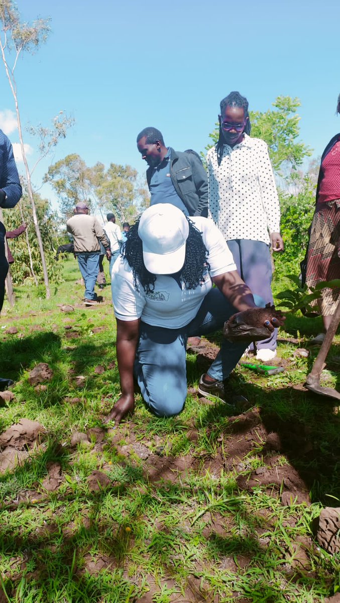 Manuh_Mmoja's tweet image. Planting trees isn't something meant for specific people, everyone should plant and take care of their trees #5BTREESKE #PACJA #Trees4Future @Environment_Ke @KeForestService
@anne_tek planting a tree in Tigania-West