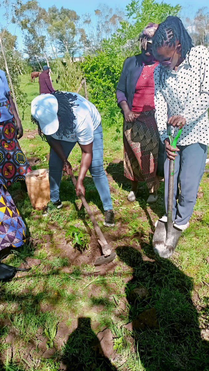 Manuh_Mmoja's tweet image. Planting trees isn't something meant for specific people, everyone should plant and take care of their trees #5BTREESKE #PACJA #Trees4Future @Environment_Ke @KeForestService
@anne_tek planting a tree in Tigania-West