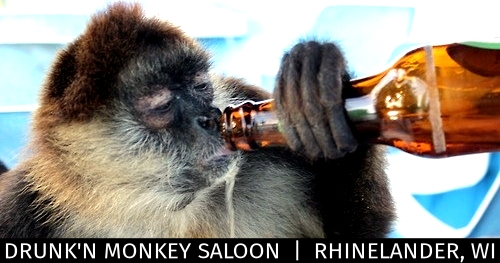 TimSigler's tweet photo. Solo acoustic & taking requests TONIGHT @ The Drunk'n Monkey Saloon in Rhinelander, WI 9pm to Midnight!🤠🎸🍻🤘
#rhinelanderwi #drunknmonkey #country #countrymusic #livemusic #timsigler #honkytonkin #yeehaw https://t.co/TMKNi1N8VS