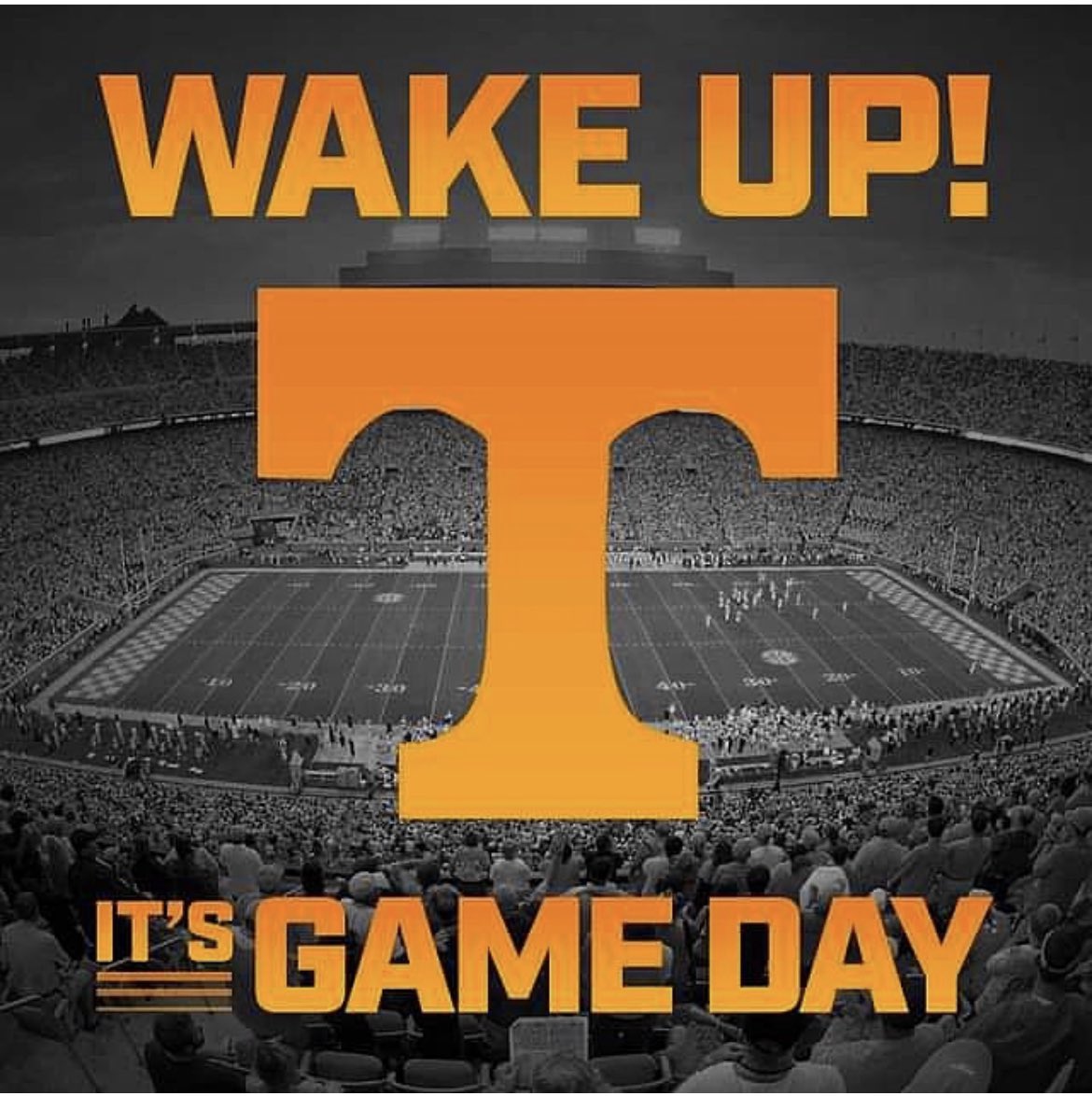 shocksoftball's tweet photo. LETS FREAKIN GO!!!! #beatcandy https://t.co/KkqNxHAEip