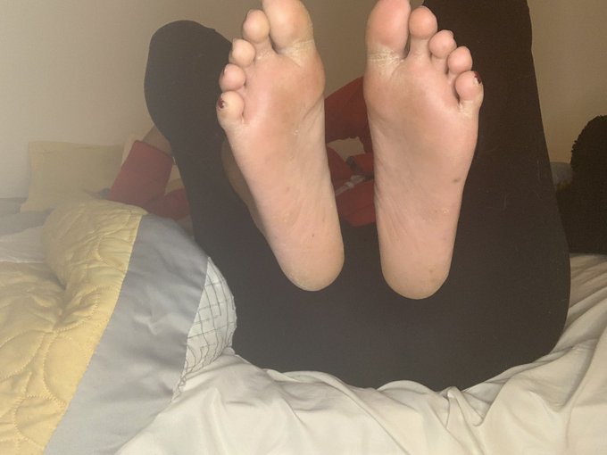 #feetworship who wants to lick my toes https://t.co/ZBONjroUOi<a href="/tag/feetworship"class="tags">#feetworship</a>