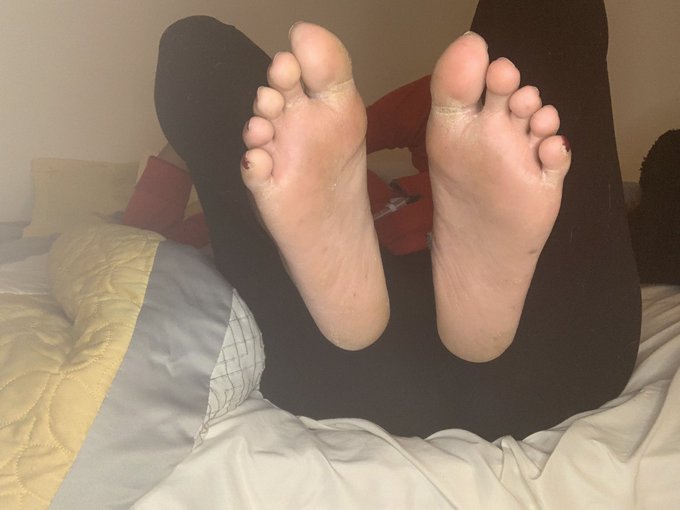 #feetworship who wants to lick my toes https://t.co/ZBONjroUOi<a href="/tag/feetworship"class="tags">#feetworship</a>