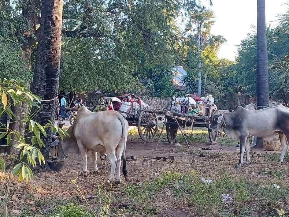 Khithitofficial's tweet photo. ခင်ဦး ၊ မြစ်တော်ရွာတွင် အသက် ၆၅ နှစ်အရွယ် ဦးလှဝင်းနှင့် PDF ရဲဘော် မောင်ဖိုးစီအောင်ကို စစ်တပ်က ပစ်သတ်၊ ရွာမှ နေအိမ် ၇၀ ကျော်ကို စစ်တပ် က မီးရှို့ ဖျက်ဆီး
read more-> https://t.co/917Q56vPRv https://t.co/oT7aAc9eCh