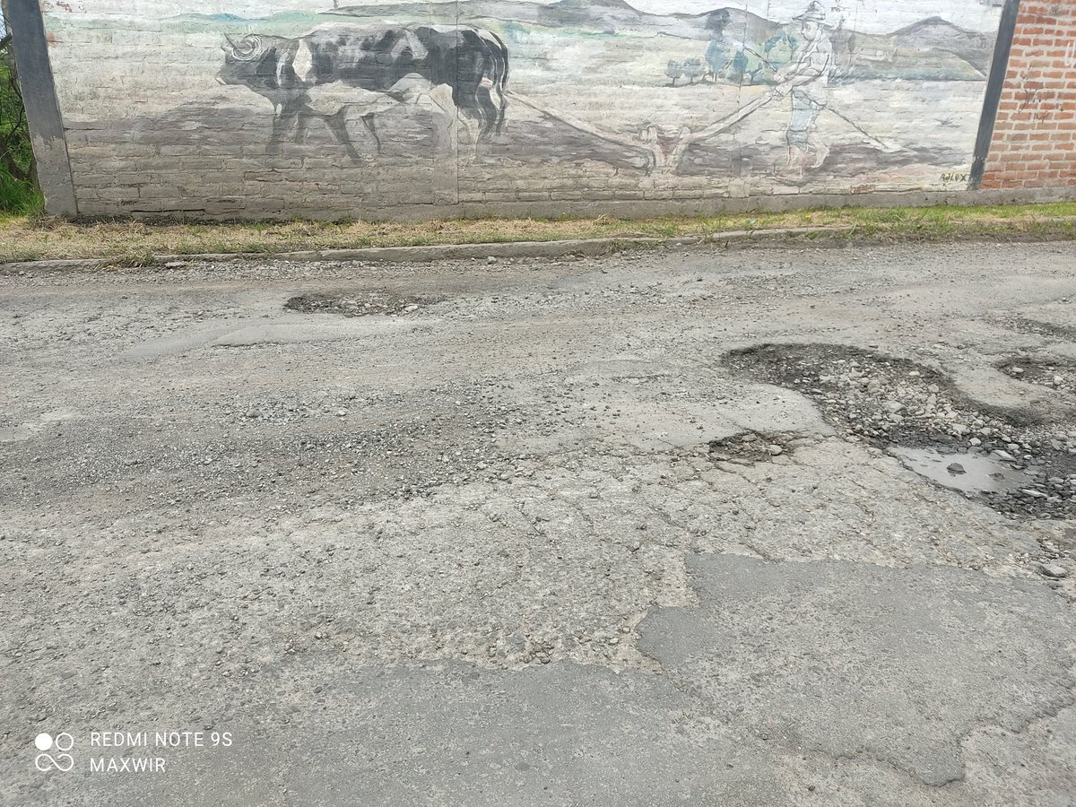 Max Miranda tweet media