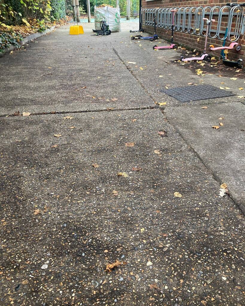 Garden Thyme Ltd tweet media