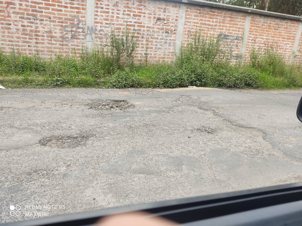 Max Miranda tweet media