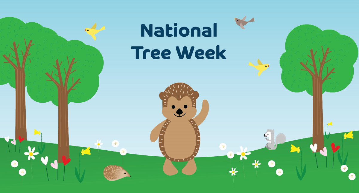 Between 26th Nov and 5th Dec it is national tree week! The tree council are encouraging us all to plant a tree to coincide with the start of the national tree planting season. Further info is available from the tree council website. treecouncil.org.uk/seasonal-campa…
<a href="/TheTreeCouncil/">The Tree Council</a>