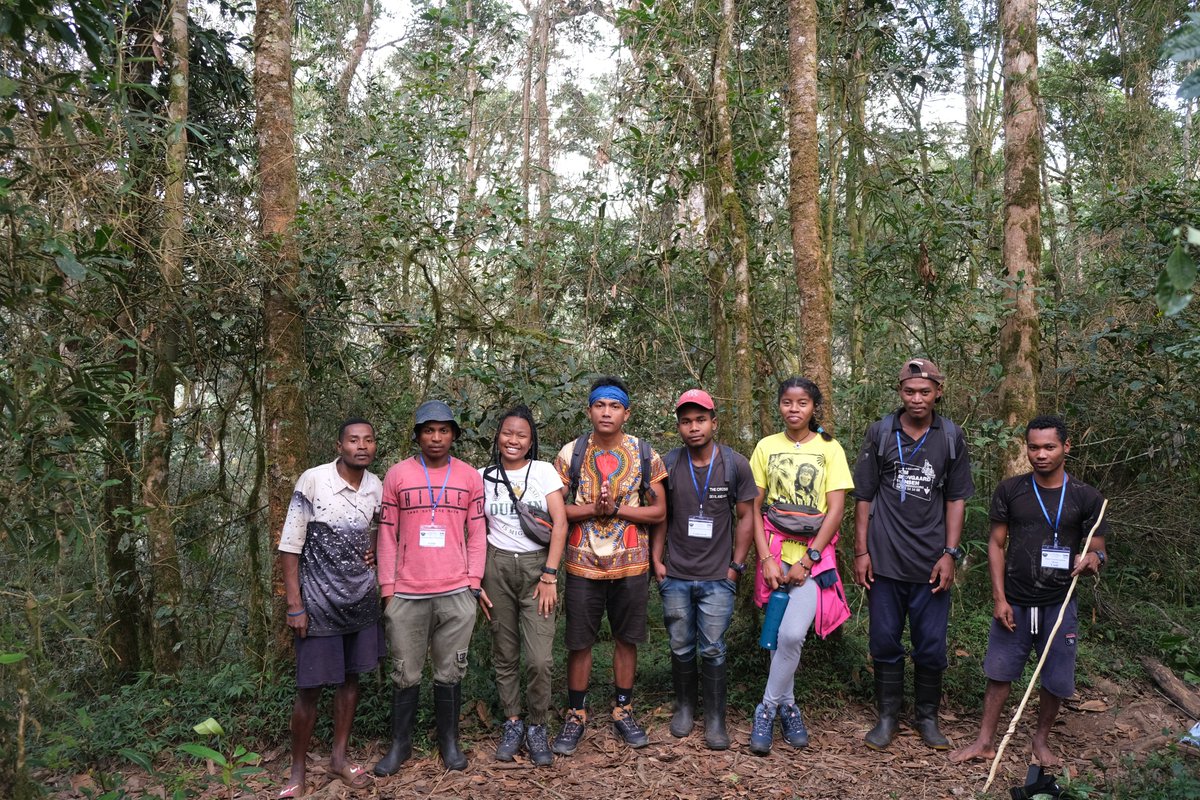 HasinalaR's tweet photo. Photo dump from a succesful first expedition, trying to understand what it takes to be a frugivorous lemur in challenging nutritional landscapes - one bite and one poop at a time. Working with an EXCEPTIONAL team of Malagasy students and local techs. #NatGeoExplorer @InsideNatGeo https://t.co/COJH2HpFEp