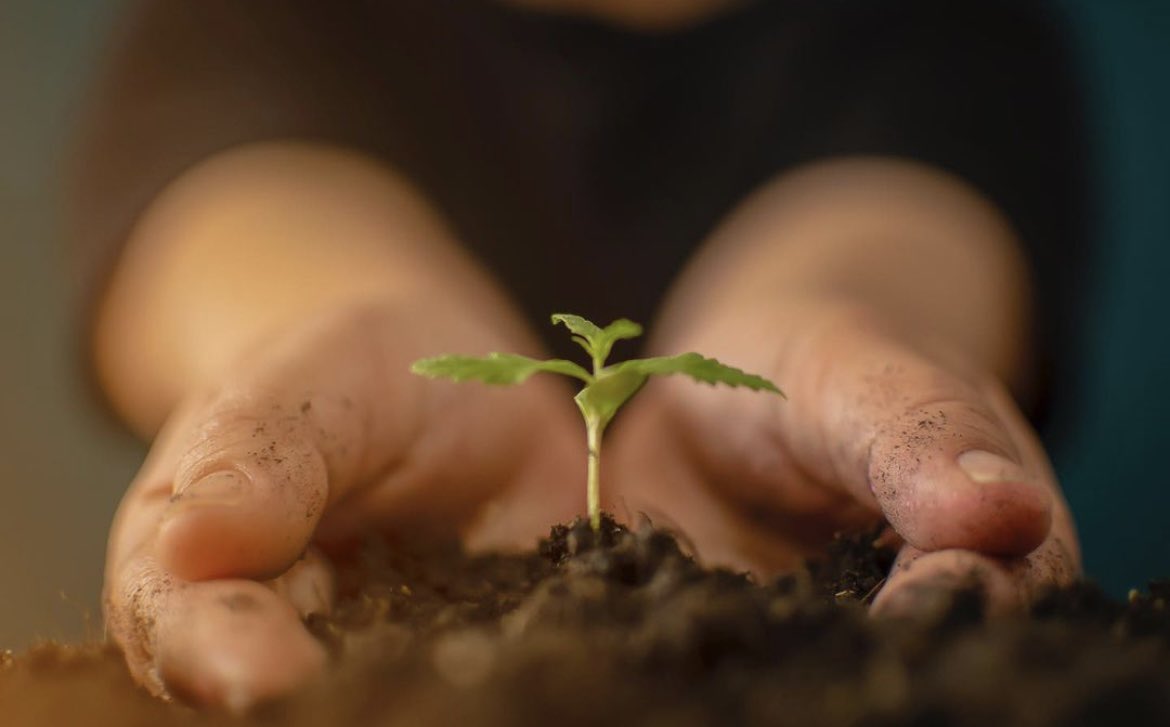 Tru2Cbd's tweet photo. From Farm to Tincture: All of our hemp is grown organically in the U.S.A. on trusted farms in Oregon. It’s a process of love from the farmer’s hands to your doorstep. #CBD https://t.co/YkLYbudu3F