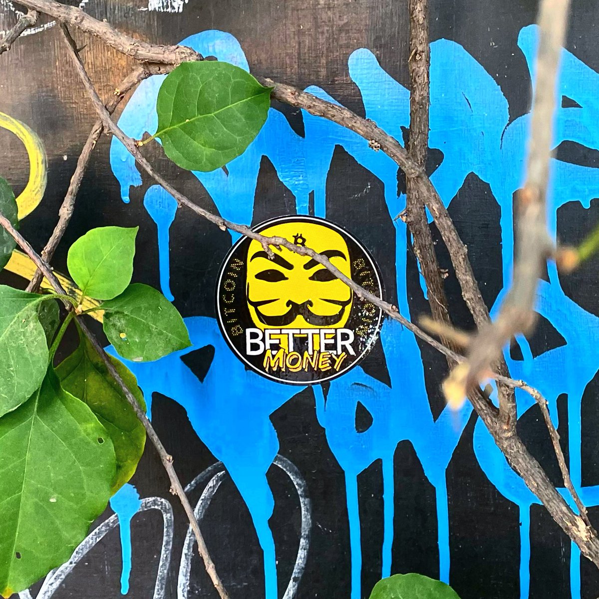 InBitcoinTrust's tweet photo. GM, IN BITCOIN WE TRUST ₿
#InBitcoinWeTrust #BetterMoney #Bitcoin #SatoshiMask #BitcoinSticker https://t.co/l3YnaCYEqW