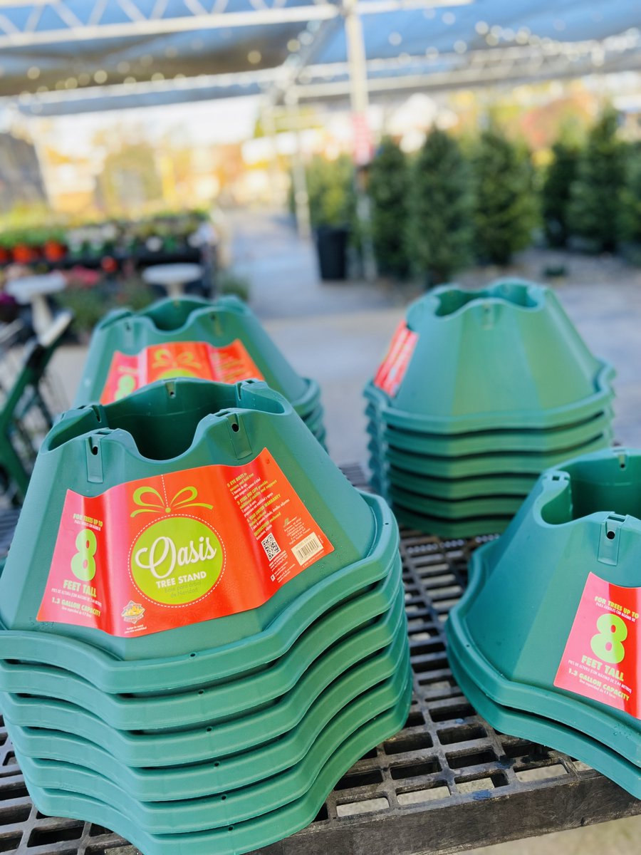 AceofGray's tweet image. Our Live Christmas Trees have ARRIVED🎄!! Our Frasier Fir Christmas Trees are $69.99 and our Christmas Tree Stands are $28.99! Make sure you stop by and get your Christmas Tree today!😍🎄
#ShopAceOfGray #TheresNoStoreLikeIt #OneStopShop #ChristmasTrees #FrasierFir...