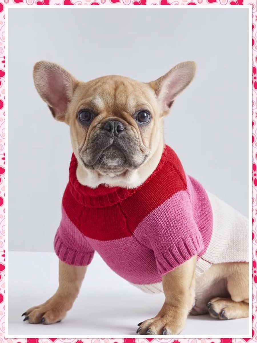 Deborah Dockendorf tweet media