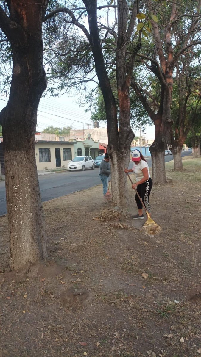 ColimaMunicipio's tweet photo. ¡Sábado de #Talacheando 🤗! Con nuestras compañeras y compañeros del Ayuntamiento, poniendo unidas y unidos #ManosALaObra por un #ColimaLimpio 🙌 en la Av. Anastacio Brizuela y en la Av. Francisco Javier Mina, dos espacios que cuidamos para ti y para tu familia. https://t.co/VtK3DPhLXH