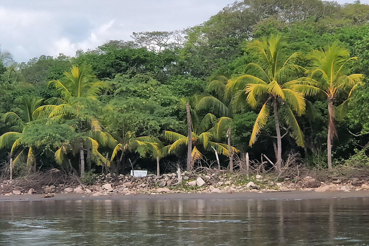 Steve Cordes tweet media