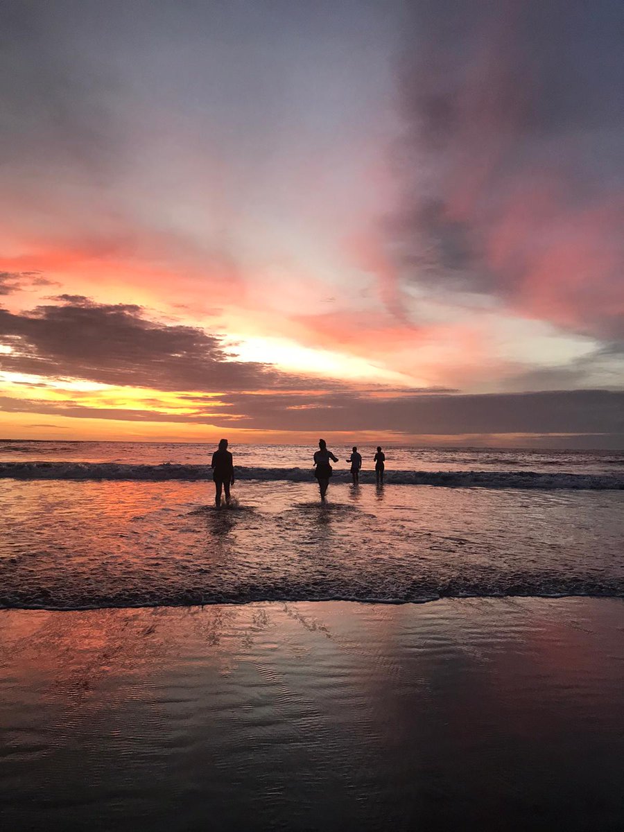 Steve Cordes tweet media