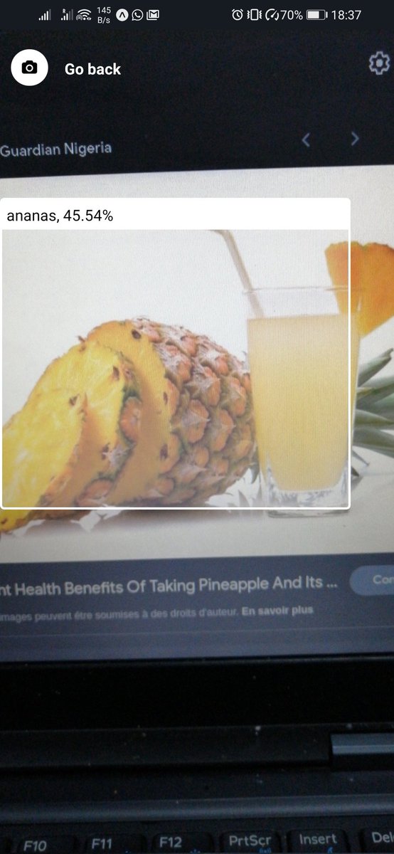DilaneKombou's tweet photo. With @Jugalux1 we have realized a mobile application using #reactnative which is able to recognise pineapple from an image taken from a camera 🥺🥺🥺.

We have trained our #MachineLearning model using #TensorFlow

Here are some results 😍😍. Awesome ☺️ https://t.co/4vfrNS3eDS
