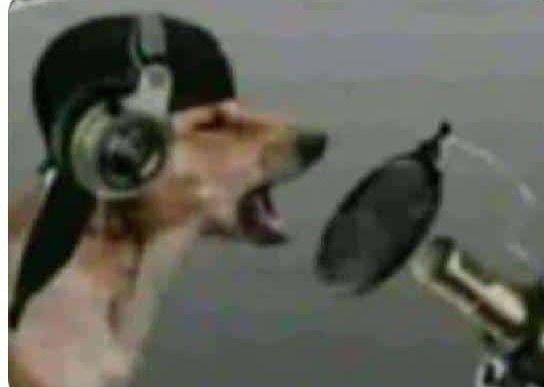 Zimeshika kuliko marashi ya woria, natesa kuliko gonorrhea ...🎶🎶😂