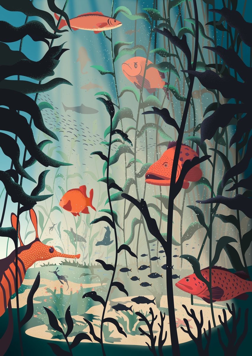 「Kelp forest 2020 vs. 2022. Which one do 」|Jacek Matysiak 🦛 open for commissionsのイラスト