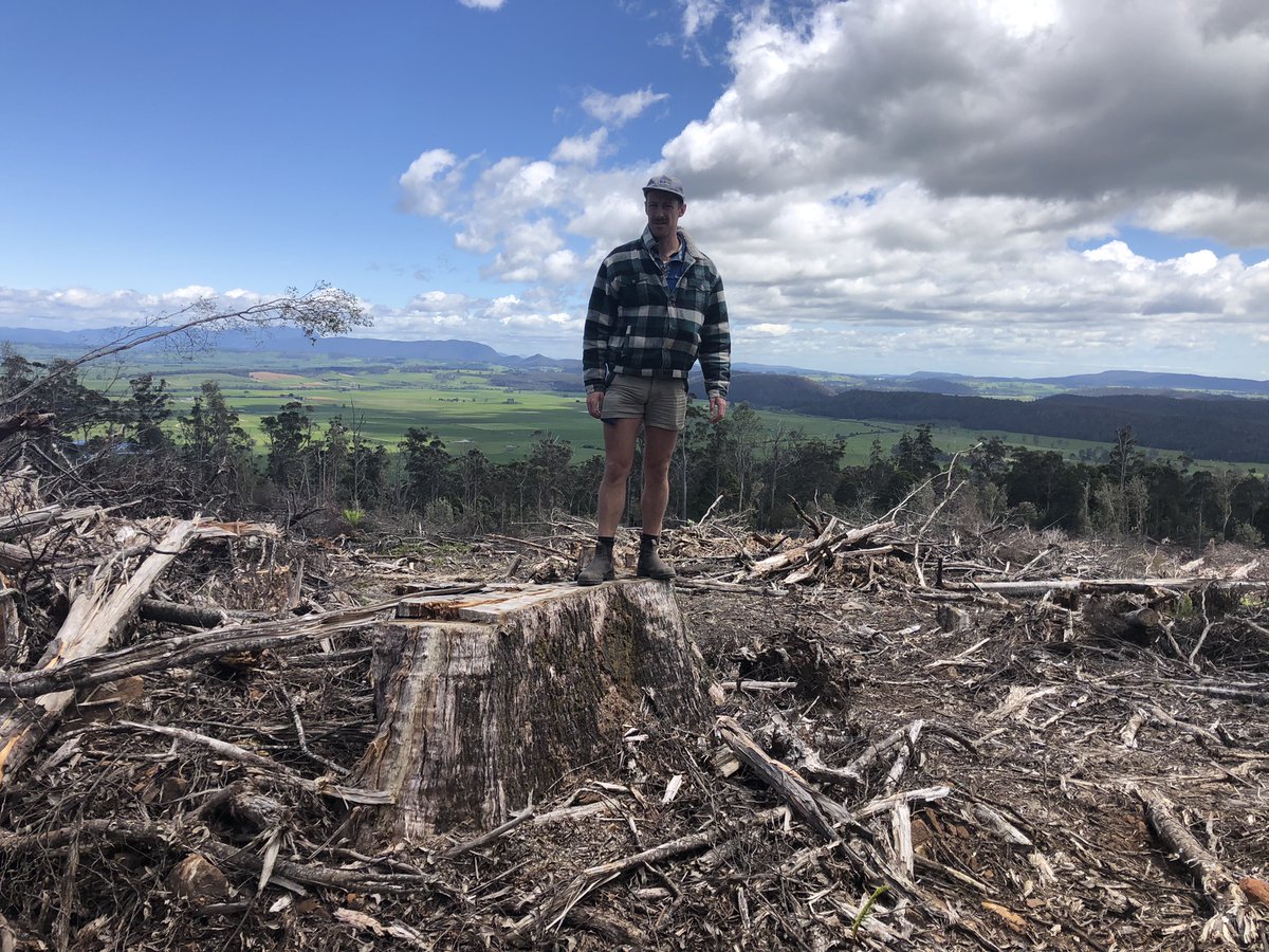 TassieWild's tweet photo. Clearfelling right at World Heritage boundary - mostly for woochips. Inc giant trees with hollows in them. 

Is this forest destruction to make your toilet paper, printing paper, packaging, timber? 

It's hard to tell. 
In fact, it's impossible. 

 #politas https://t.co/rPzSrD1uuv
