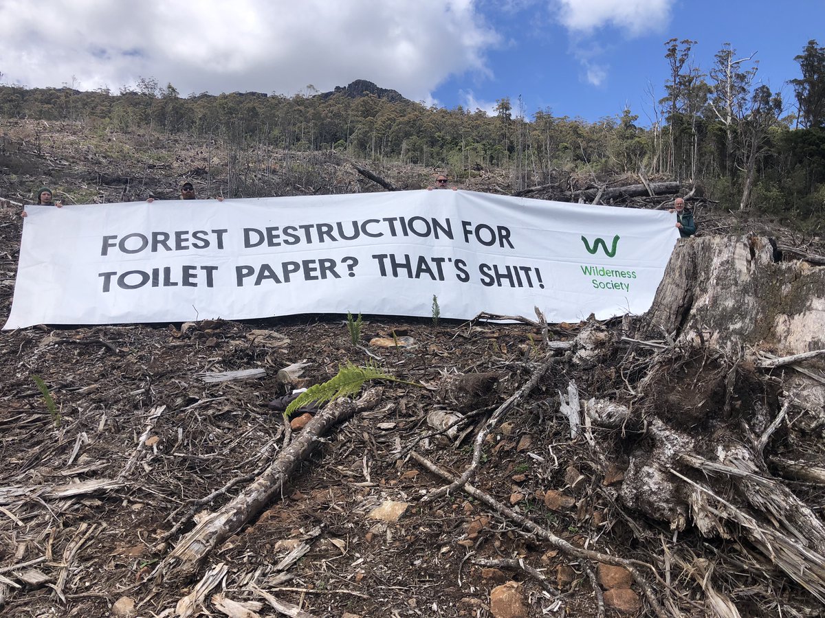 TassieWild's tweet photo. Clearfelling right at World Heritage boundary - mostly for woochips. Inc giant trees with hollows in them. 

Is this forest destruction to make your toilet paper, printing paper, packaging, timber? 

It's hard to tell. 
In fact, it's impossible. 

 #politas https://t.co/rPzSrD1uuv