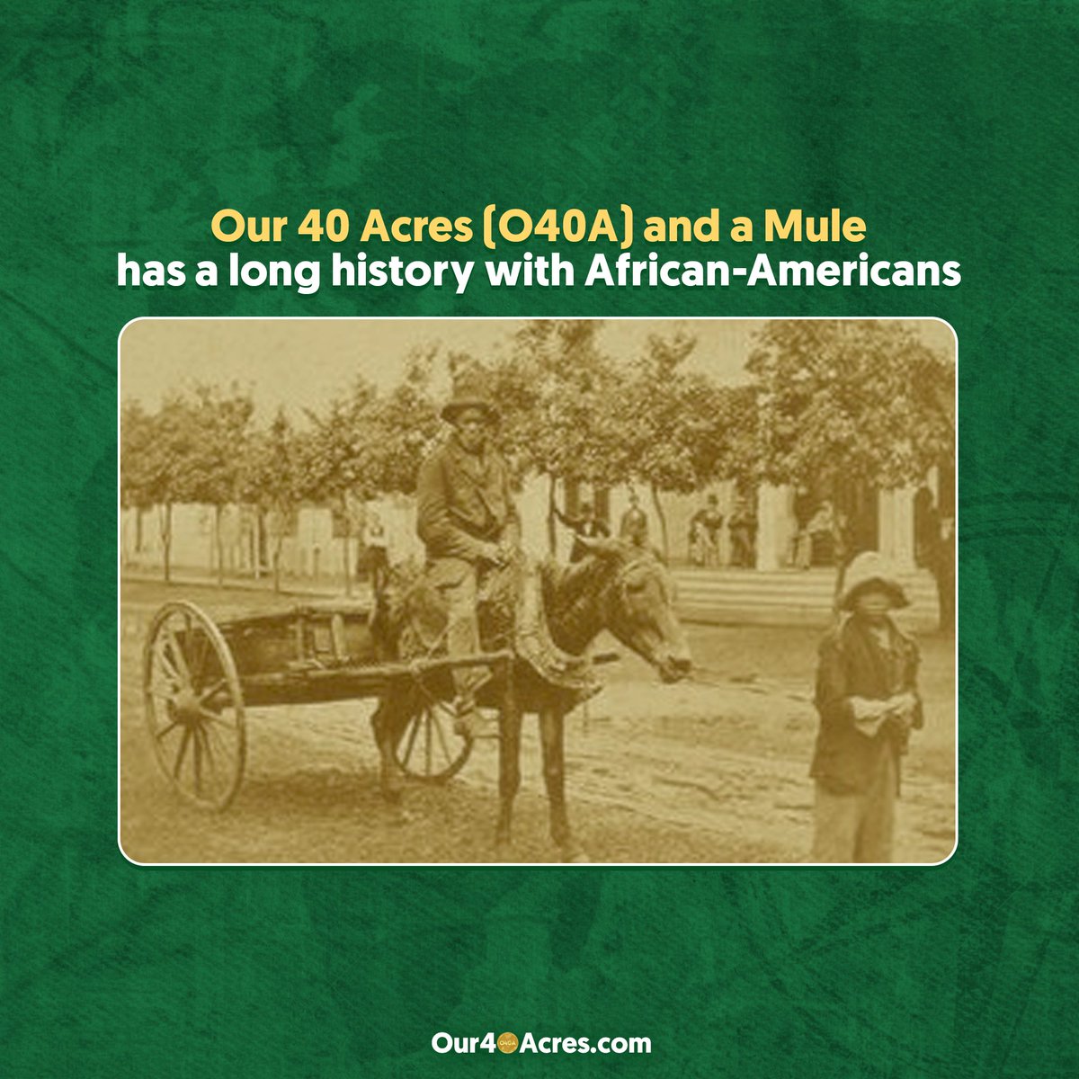 O40ACoin tweet media