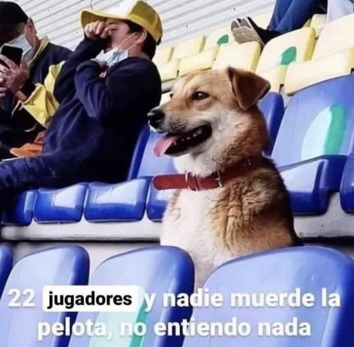 Guarromantico_'s tweet photo. https://t.co/Dy6qeMvG04