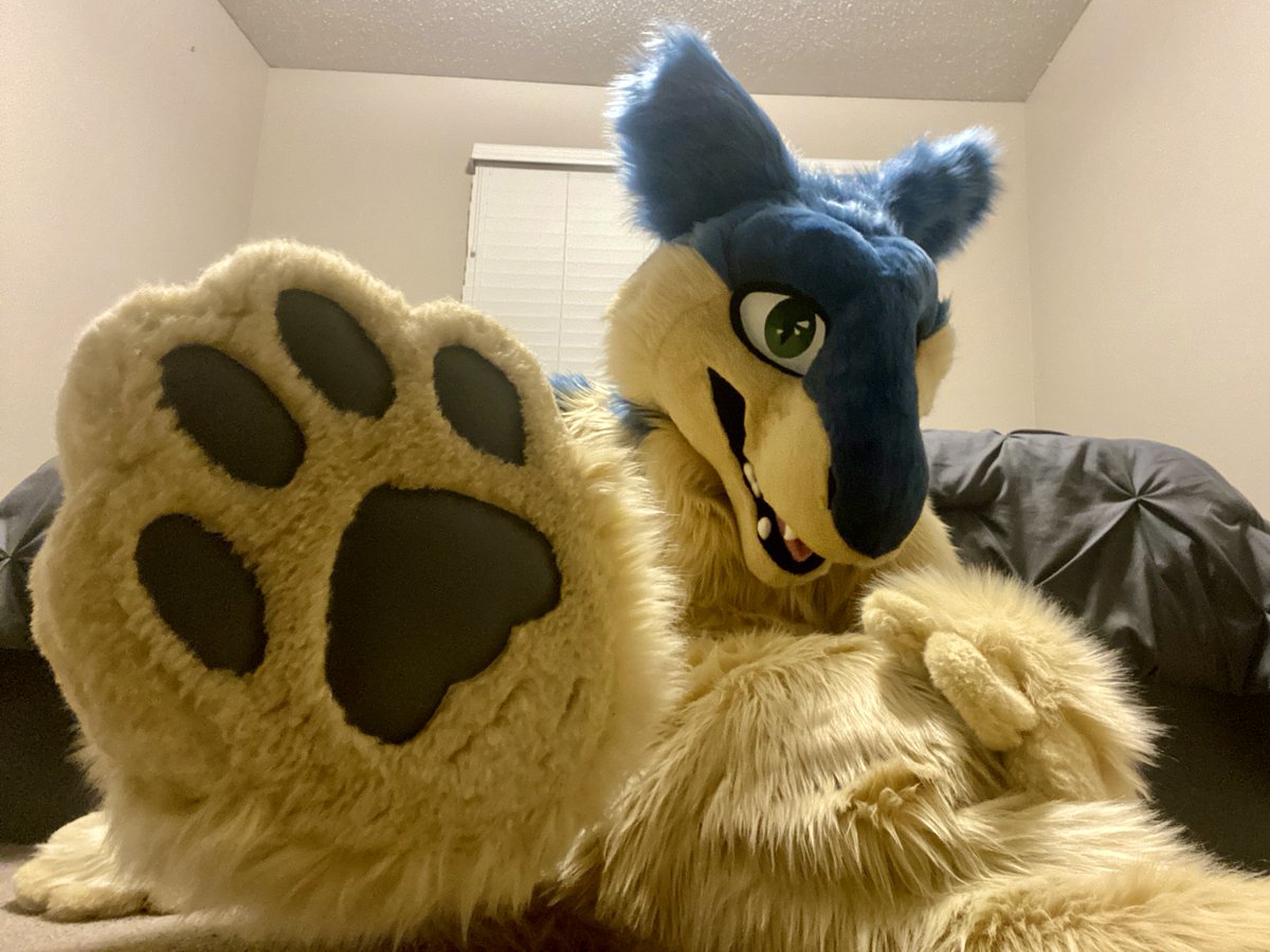 I present to you... pawber. #Furry #Fursuit

🪡 - <a href="/FurtasticStudio/">FurtasticStudios</a>