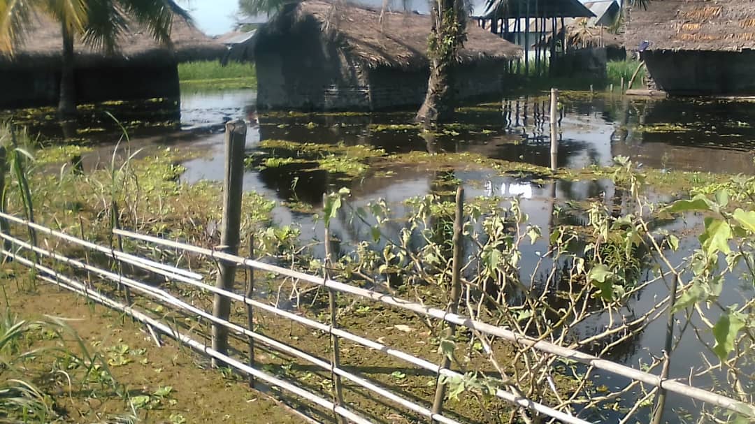 Mas media officiel (@mas_media_rdc) on Twitter photo La ville de bumba dans la province de la MONGALA fait face à des graves inondations depuis quelques jrs . Des milliers de familles désormais sans abris et sans assistance du gouvernement. la situation est grave, alerte l'hon GABRIEL BOLOKO. <a href="/fatshi13/">Félix A. Tshisekedi</a>
<a href="/LukondeSama/">Sama Lukonde</a> @CMbosoNkodia La ville de bumba dans la province de la MONGALA fait face à des graves inondations depuis quelques jrs . Des milliers de familles désormais sans abris et sans assistance du gouvernement. la situation est grave, alerte l'hon GABRIEL BOLOKO. <a href="/fatshi13/">Félix A. Tshisekedi</a>
<a href="/LukondeSama/">Sama Lukonde</a> @CMbosoNkodia