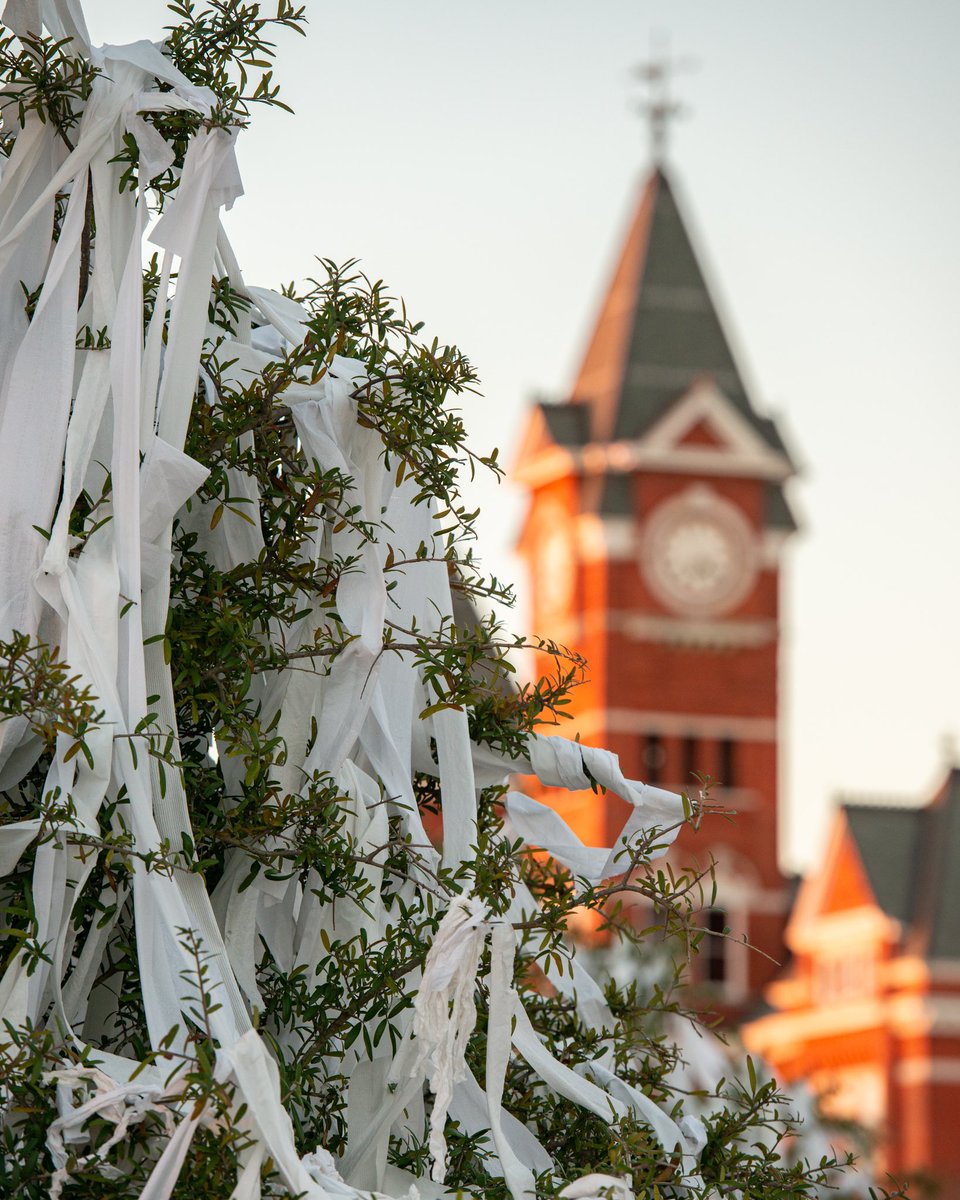 These photos are from this day in 2017. Every day is a great day to hate on Bama, but somedays it just means more!

Can I get a #WarEagle?

#BeatBama #IronBowl #Auburn