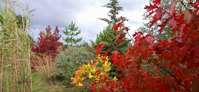 Picking up the theme of the #Pliocene temperate woodlands, Barry Hall <a href="/geosuffolk/">GeoSuffolk</a> has led an inspiring project planting living trees in #Suffolk, based on species identified from fossil pollen
📷<a href="/geosuffolk/">GeoSuffolk</a>
find out more here: geosuffolk.co.uk/index.php/plio…

#PlioPleistocene #Museums