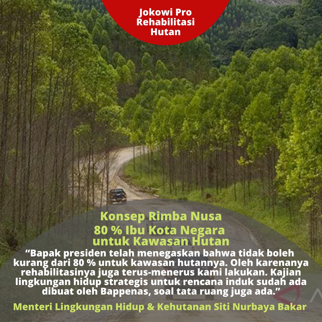 ruangantihoax's tweet photo. Konsep Rimba Nusa 80% IKN Nusantara untuk kawasan hutan
#IKNsemakinNyata
#KotaDuniaUntukSemua
#IKNmajukanNusantara https://t.co/vEeP16RdYt