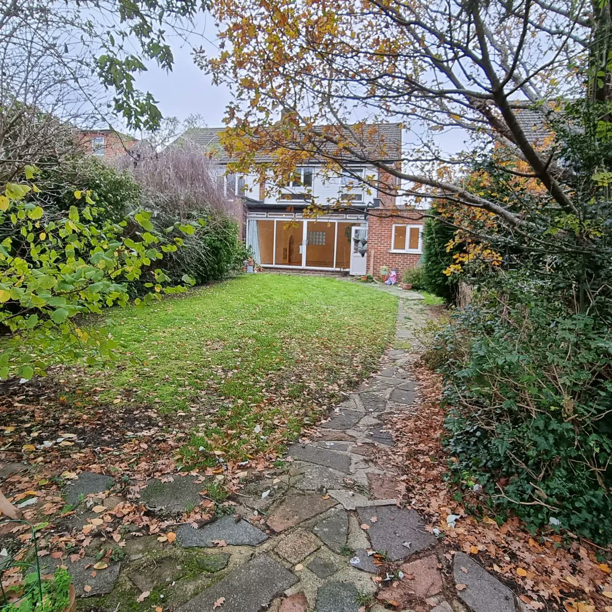 Jo #bemoregremlin tweet media