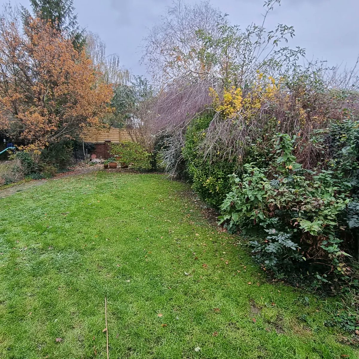 Jo #bemoregremlin tweet media